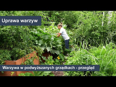 Podwyższane grządki - Uprawa warzyw w podwyższanych grządkach.