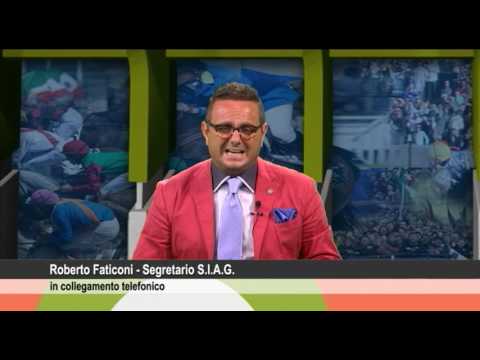 479° NO PROBLEM...IPPICA 02/06/2016