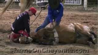 preview picture of video 'Bandera Rodeo Horses Shocked'