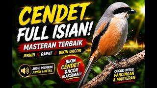 Download lagu MASTERAN CENDET FULL ISIAN mp3