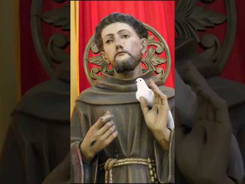 San Francisco de Asís - Colonia América, San Salvador.