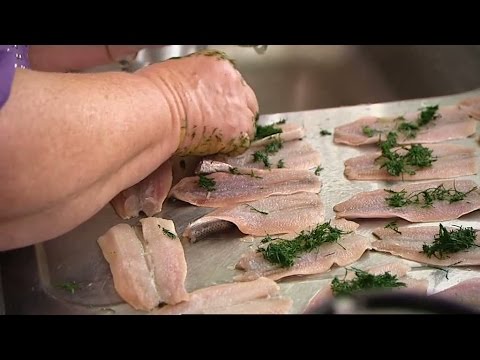 Gunsans kräftströmming - Halv åtta hos mig (TV4)