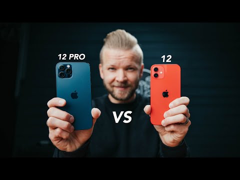 iPhone 12 VS 12 Pro // Camera Comparison Review