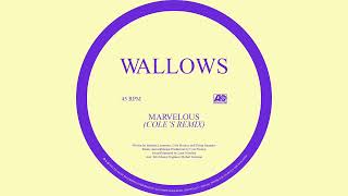 Wallows - Marvelous (Cole’s Remix)