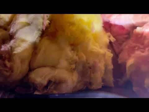 Boiler Room Insulation Infested with Mice in Jackson, NJ