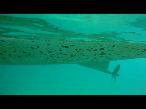 Sailing Beneteau Cyclades 50.4 "Siora Maria"