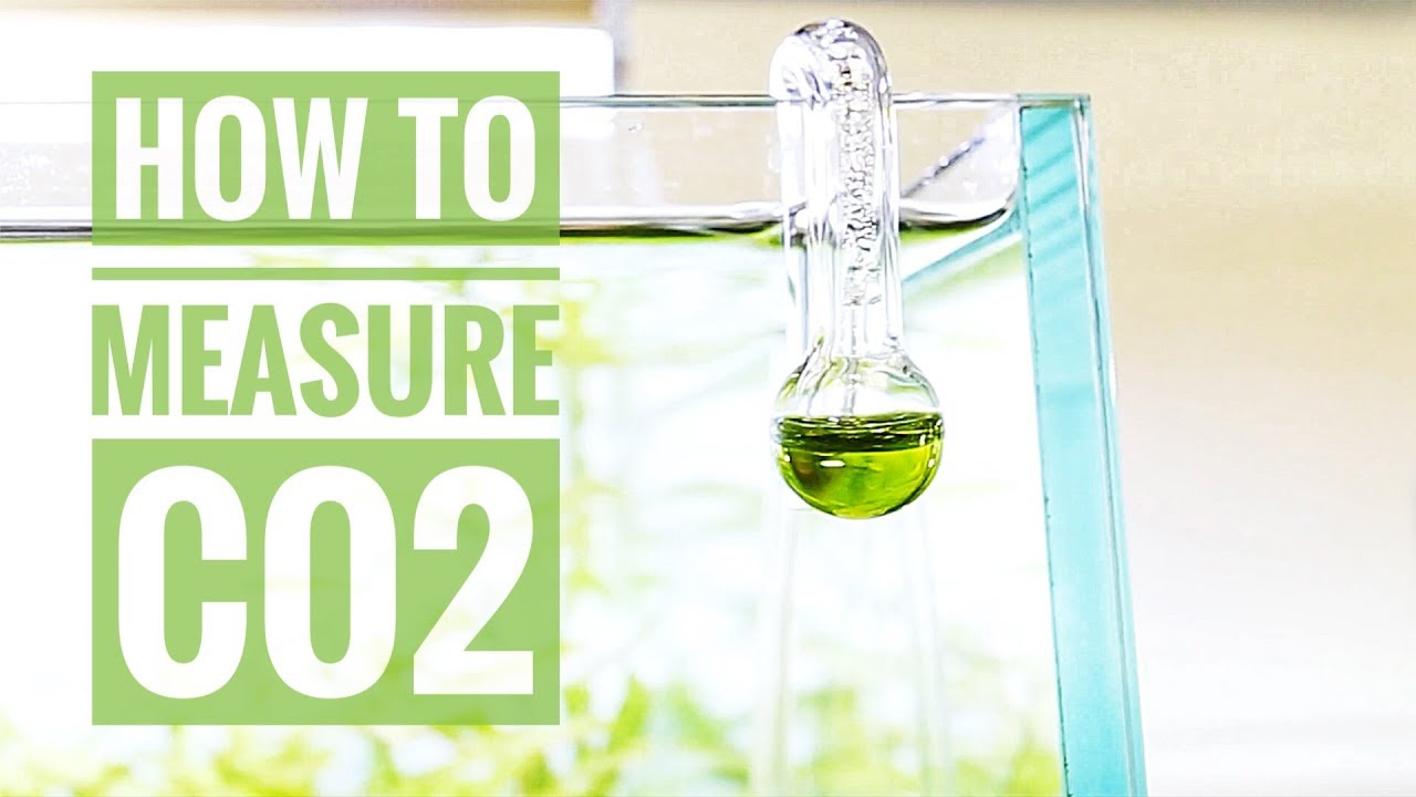 YouTube video preview