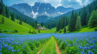 Beautiful Relaxing Music for Deep Relaxation & Stress Relief