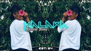 Download lagu Panic - Vybz Kartel Ft. Shenseea | Dj Baakz Remiix mp3