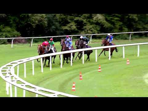 Aarau/08.09.2019/Preis HAMERO Immobilien AG Aarau und Gonner