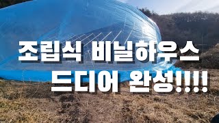 삼각지붕 비닐하우스 완성!!! 조립식 비닐하우스는 첨이라...