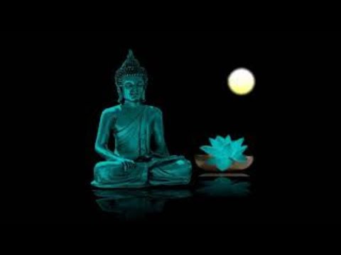 Música REIKI  SANACIÓN a Todo Nivel. FÍSICO MENTAL, EMOCIONAL y ESPIRITUAL - Música Sanadora.