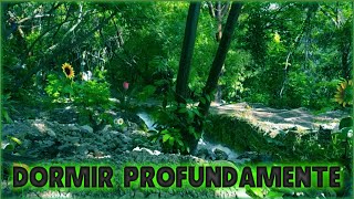 Acalmar e Relaxar a Mente Durma em Poucos Minutos