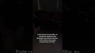 Pai de menina carrega o mundo no colo e chama de filha. ✨ #paidemenina #paravoce 🎥@mel_monteiro.x