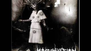 Heaven Shall Burn - The Only Truth