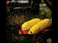 Hum To Tere Aashiq Hai Sadiyo Purane New WhatsApp Status Video 2019 SWAPPY SZ EDITZ