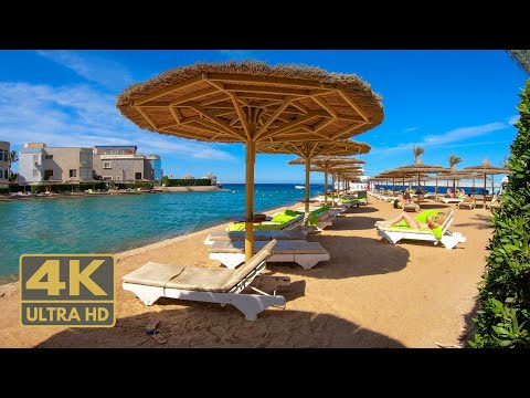 Seagull Beach Resort Hurghada, Egypt 4K 🇪🇬