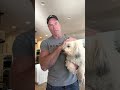 The Truth About Feeding Your Dog a Carnivore Diet