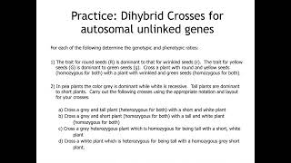 10.2 Practice Question: Dihybrid Crosses