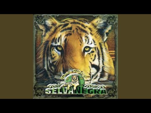 download lagu mp3 mp4 Tico Tico Dulce, download lagu Tico Tico Dulce gratis, unduh video klip Tico Tico Dulce