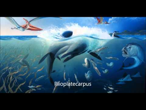 New Special: Uncommon Marine Reptiles