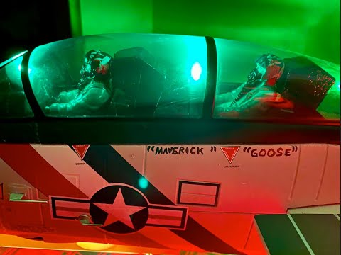 Freewing F-14 Tomcat "Top Gun Style"