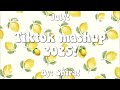 TikTok Mashup 2025