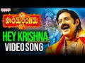Hey Krishna Song Pandurangadu Video Songs Bala Krishna Sneha Adityabhakthi