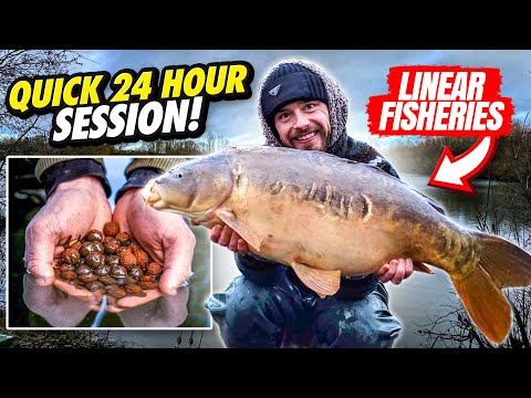Linear Fisheries Hardwick & Smiths | 24-Hour Winter Carp Fishing Session VLOG | Ben Parker