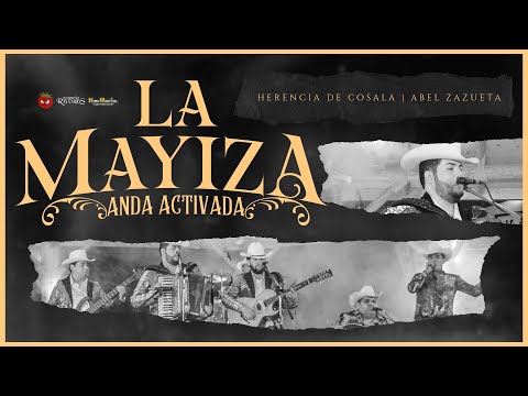 La Mayiza Anda Activada - Herencia De Cosala & Abel Zazueta (En Vivo 2023)