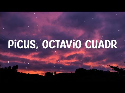 Picus, Octavio Cuadras – Cachín (Letra)