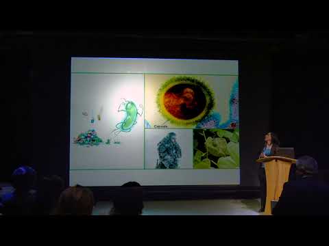 Atefeh Rajaei 3 Minute Thesis Presentation 2019