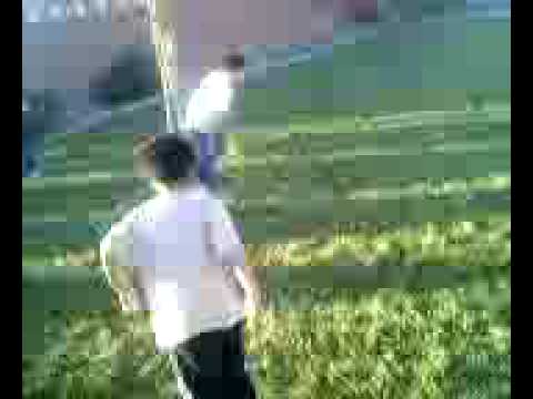 little punks fighting