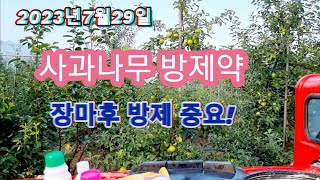 2023년7월29일 사과나무 장마후 방제약(탄저병,갈색무늬병,겹무늬썩음병,노린재,부착 코팅제)