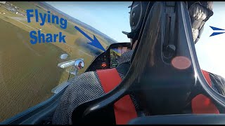 An unexpected flight in the shark