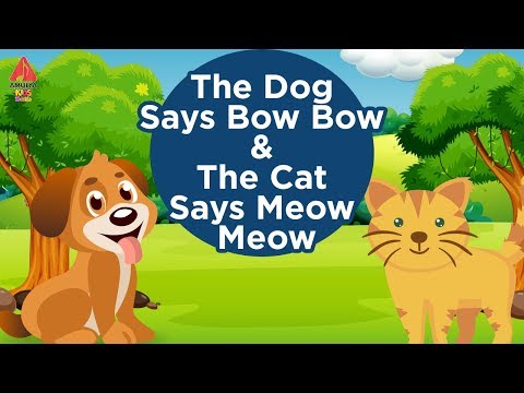 The Dog Says Bow Bow | Nursery Rhymes Songs for Childrens | Rhymes For Kids | Amulya Kids