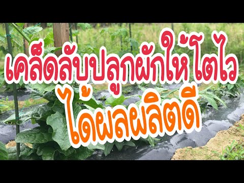 แข็งแรงผลิตภัณฑ์ในผู้ชาย การรักษาความอ่อนแอ