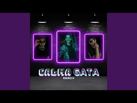 Calma Gata (Remix)