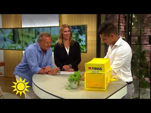 Hosein frånAfghanistan skrapade ihop en fin slant - Nyhetsmorgon (TV4)