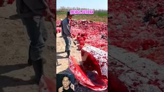 Download lagu surprising! apparently this is how the largest gemstone in Asia is made #shorts mp3