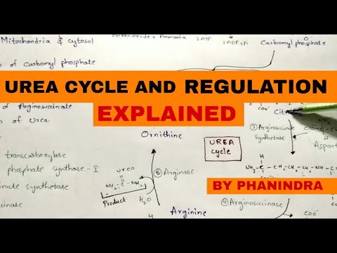 Beta oxidation of Fatty acids Energetics By phanindra