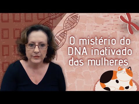 Entenda o que acontece em fêmeas de mamíferos | Epigenética 5