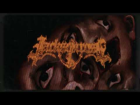 Jackson Rose - Limb From Limb (Official Lyric Video)