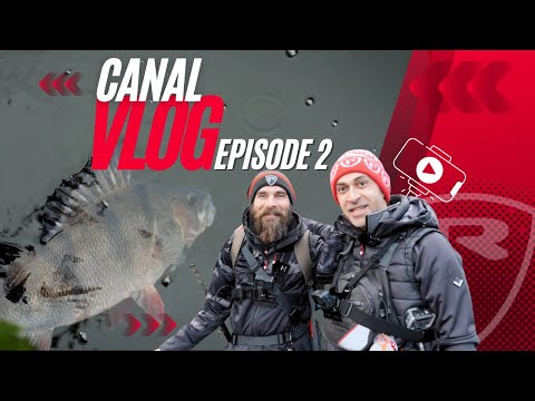 Perch fishing on canals | How to catch perch with lures | Drop Shot and Jigging for perch