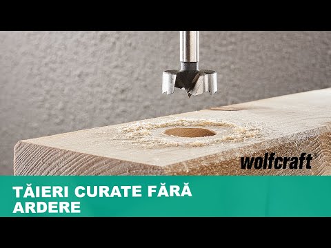 3309000-3310000_Forstner-Drill-Bit-Hexagon-Shank_PRO_MCP_ro_2019.mp4