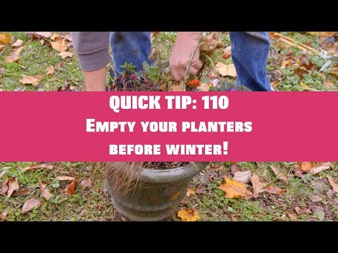 QUICK TIP 110: EMPTY YOUR PLANTERS BEFORE WINTER!