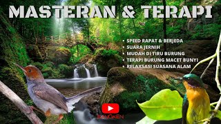 Download lagu MASTERAN Kolibri Wulung VS Prenjak JUGA TERAPI & RELAXSASI SUARA ALAM UNTUK MURAI, KACER, CUCAK IJO mp3 Download lagu MASTERAN Kolibri Wulung VS Prenjak JUGA TERAPI & RELAXSASI SUARA ALAM UNTUK MURAI, KACER, CUCAK IJO mp3