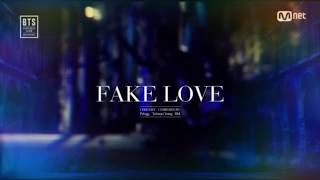 BTS Fake Love (Extended Version)