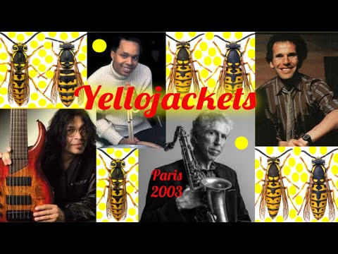 Yellojackets Paris 2003
