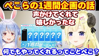 ぺこらに1週間企画誘われた話＋京言葉怖がらないで【ホロライブ切り抜き/兎田ぺこら/角巻わため】
